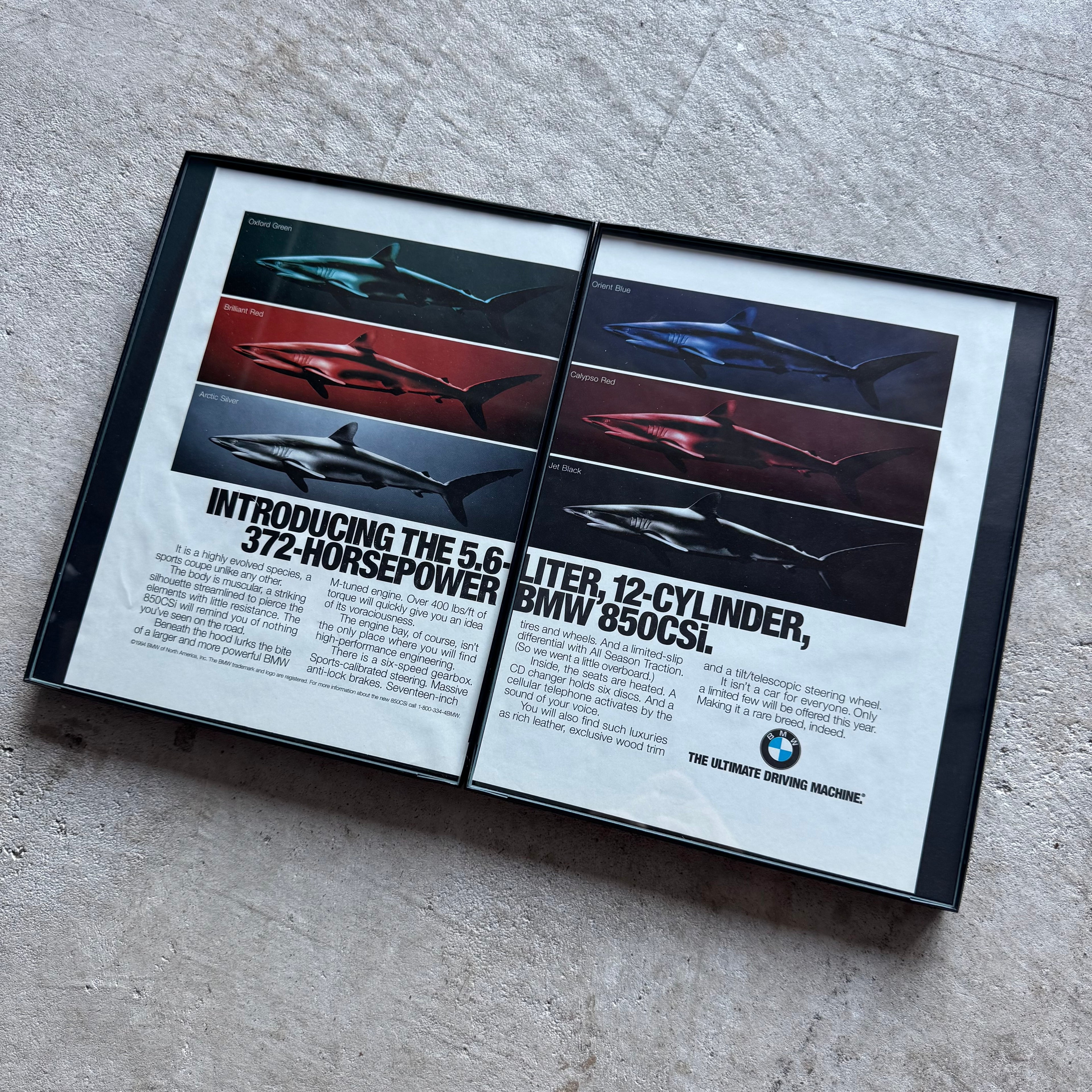 1994 BMW E31 850CSi V12 Shark Color Options Framed Advertisement