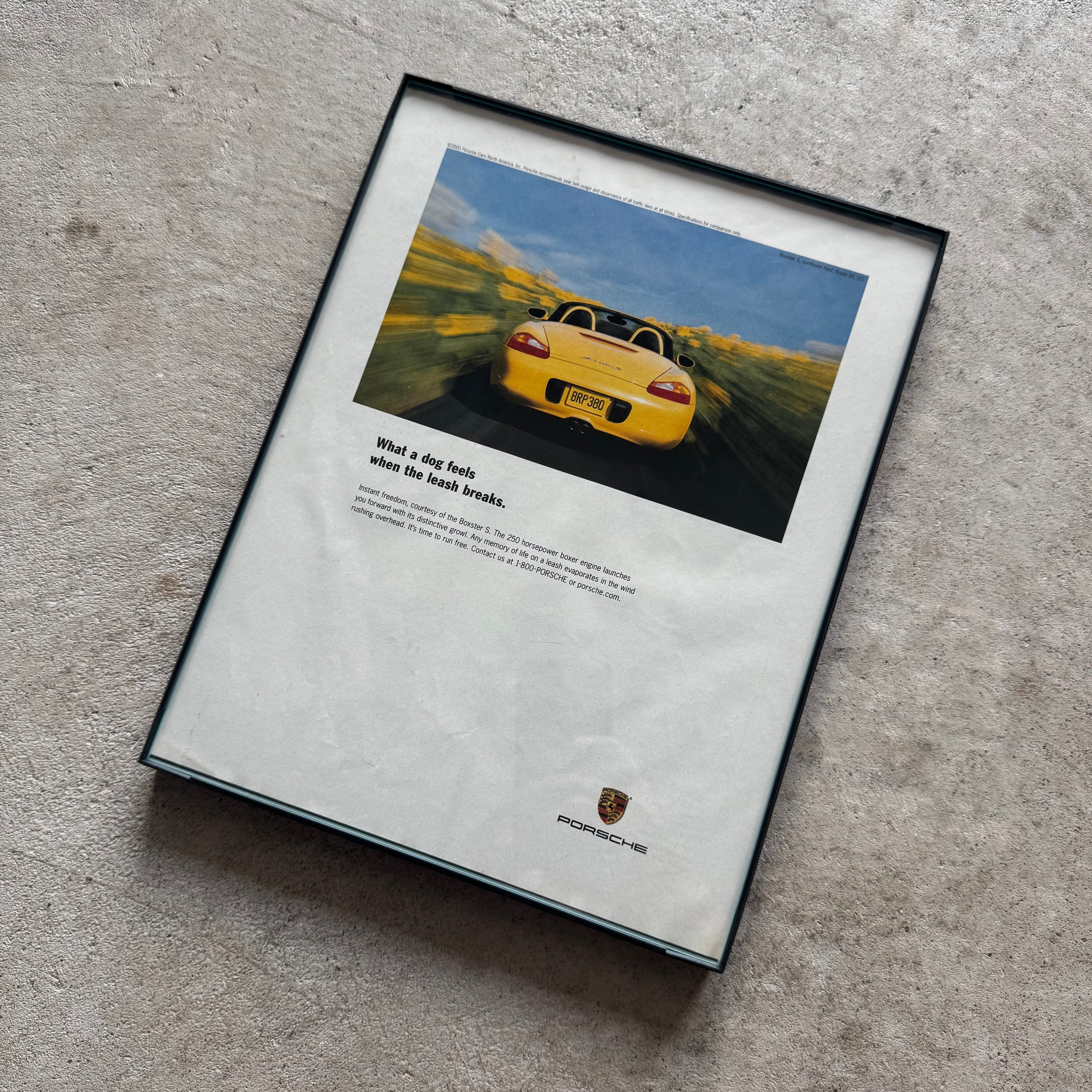 2000 Porsche What a Dogs Feels Boxster S Framed Advertisement