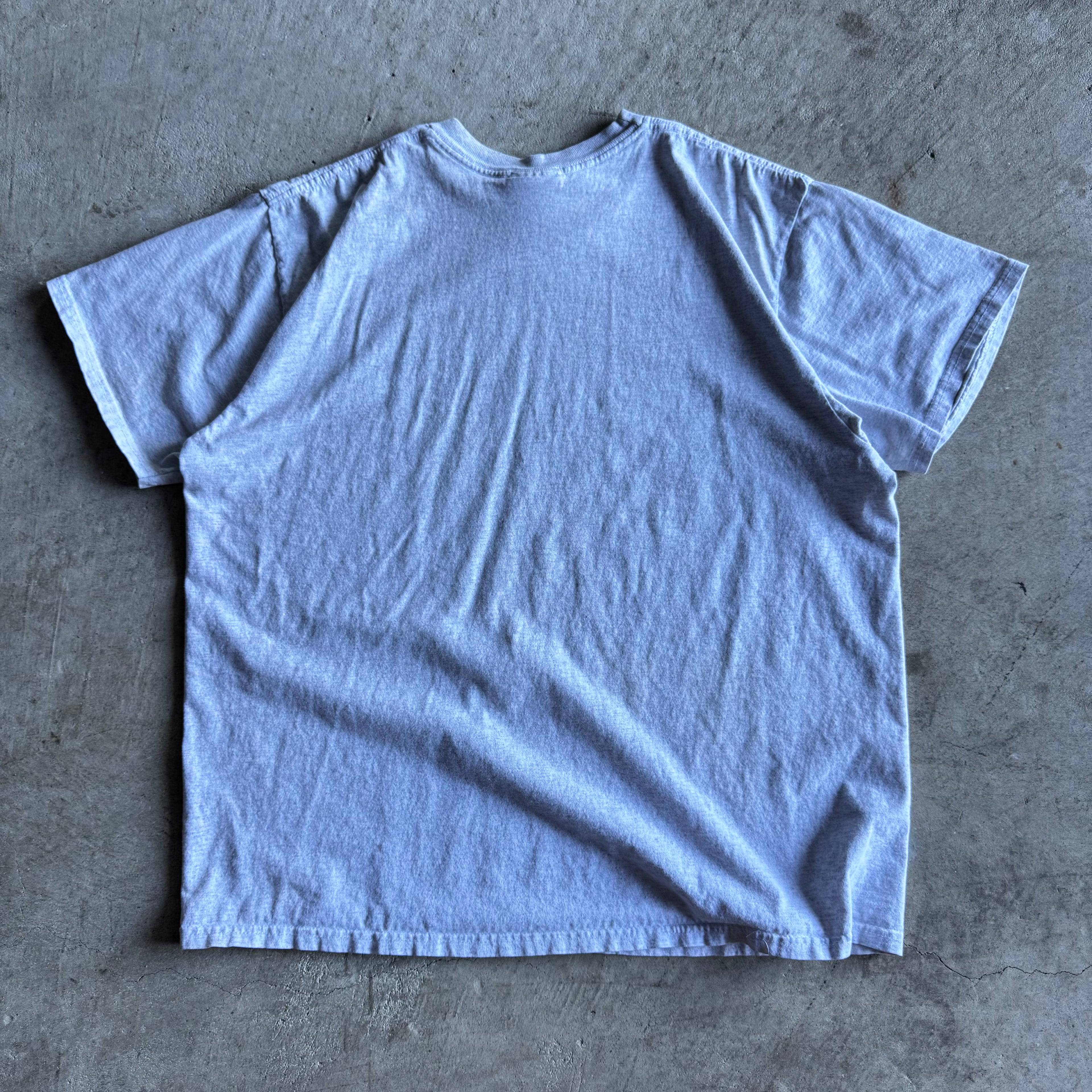 2004 Like Father Like Son Dale Earnhardt Dale Jr T Shirt (XL)